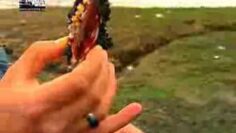 EXTREME  REALITY  SHOW 2011    4 (1)
